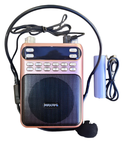 Parlante Portatil Con Microfono De Cintillo