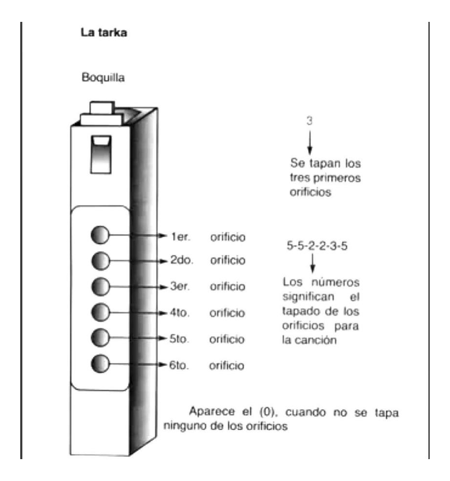 Tarka Andina Wayra Originaria 50 Cm - Imagen 3