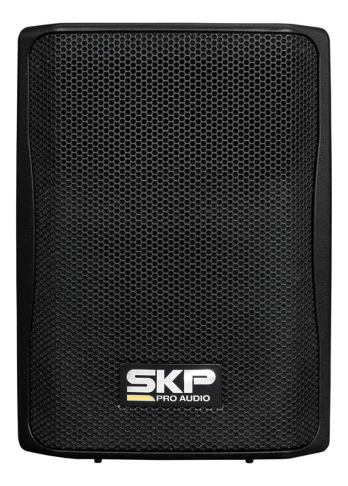 Parlante Sistema 2 Vías Activo + Pasivo Amplificado Sk 208px - Imagen 2