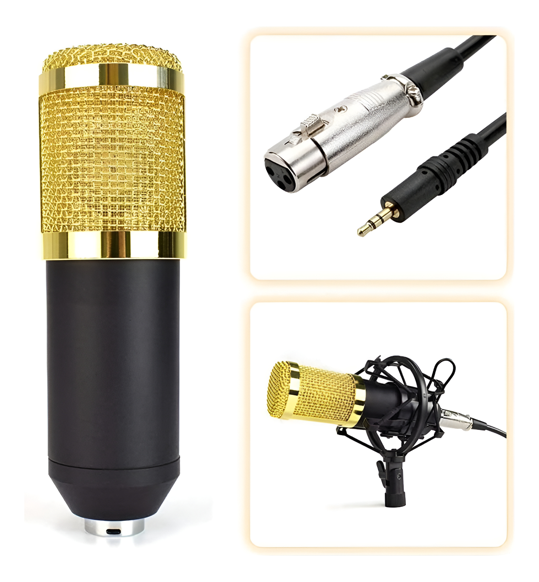 Micrófono Condensador De Estudio Kit-mini Pb-b5e3