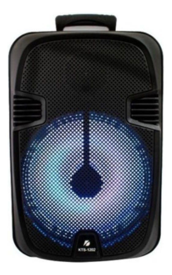 Parlante Activo 12 Kts-1202 - Imagen 7