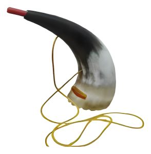 Kulkul Ceremonial Mapuche Wayra 20 Todoaudio Chile